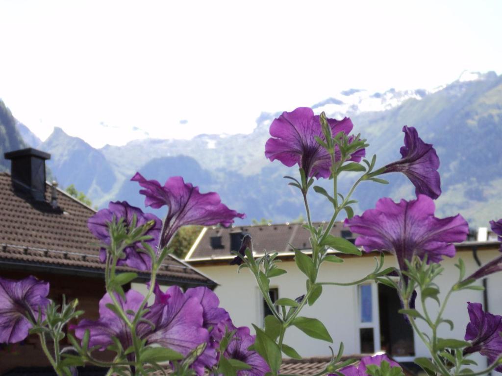 Apartmenthaus Gotthardt Kaprun Quarto foto